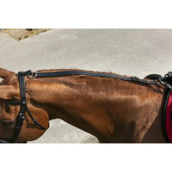 Norton Pro Opzet Bijzetteugel Horseshop